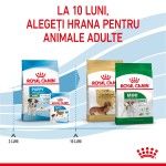 Royal Canin Mini Puppy hrana uscata caine junior, 800 g