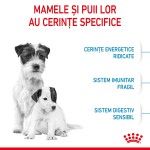 Royal Canin Mini Starter Mother & Babydog, mama si puiul, hrana uscata caine, 4 kg
