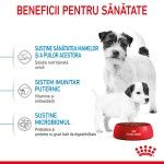 Royal Canin Mini Starter Mother & Babydog, mama si puiul, hrana uscata caine, 4 kg