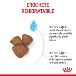Royal Canin Mini Starter Mother & Babydog, mama si puiul, hrana uscata caine, 4 kg
