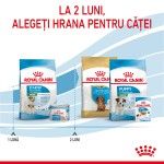 Royal Canin Mini Starter Mother & Babydog, mama si puiul, hrana uscata caine, 4 kg