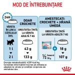 Royal Canin Mini Starter Mother & Babydog, mama si puiul, hrana uscata caine, 4 kg