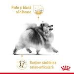 Royal Canin Pomeranian Adult, hrana uscata caini, 1.5 kg