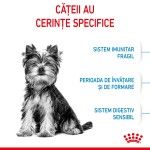 Royal Canin X-Small Puppy hrana uscata caine junior, 1.5 kg
