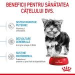 Royal Canin X-Small Puppy hrana uscata caine junior, 1.5 kg