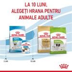 Royal Canin X-Small Puppy hrana uscata caine junior, 1.5 kg
