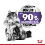 Royal Canin Appetite Control, hrana umeda pisica (in sos), 12x85 g - rezultate
