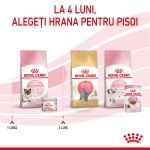 Royal Canin Mother & BabyCat hrana umeda pisica, mama si puiul (textura spumoasa), 195 g