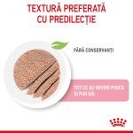 Royal Canin Mother & BabyCat hrana umeda pisica, mama si puiul (textura spumoasa), 195 g