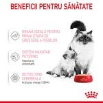 Royal Canin Mother & BabyCat hrana umeda pisica, mama si puiul (textura spumoasa), 195 g