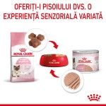 Royal Canin Mother & BabyCat hrana umeda pisica, mama si puiul (textura spumoasa), 195 g