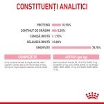 Royal Canin Mother & BabyCat hrana umeda pisica, mama si puiul (textura spumoasa), 195 g