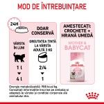 Royal Canin Mother & BabyCat hrana umeda pisica, mama si puiul (textura spumoasa), 195 g