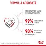 Royal Canin Kitten hrana umeda pisica (in sos), 12 x 85 g