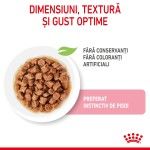 Royal Canin Kitten hrana umeda pisica (in sos), 12 x 85 g