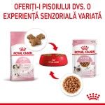Royal Canin Kitten hrana umeda pisica (in sos), 12 x 85 g