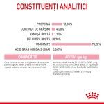 Royal Canin Kitten hrana umeda pisica (in sos), 12 x 85 g