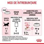 Royal Canin Kitten hrana umeda pisica (in sos), 12 x 85 g