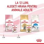 Royal Canin Kitten hrana umeda pisica (in sos), 85 g