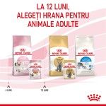 Royal Canin Kitten hrana umeda pisica (aspic), 12 x 85 g