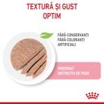 Royal Canin Kitten hrana umeda pisica (pate), 12 x 85 g