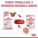 Royal Canin Kitten hrana umeda pisica (pate), 12 x 85 g