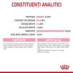 Royal Canin Kitten hrana umeda pisica (pate), 12 x 85 g