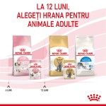 Royal Canin Kitten hrana umeda pisica (pate), 12 x 85 g