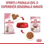 Royal Canin Kitten Sterilised hrana umeda pisica sterilizata junior (in sos), 85 g