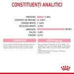 Royal Canin Kitten Sterilised hrana umeda pisica sterilizata junior (in sos), 85 g