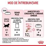 Royal Canin Kitten Sterilised hrana umeda pisica sterilizata junior (in sos), 85 g
