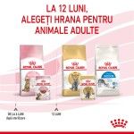 Royal Canin Kitten Sterilised hrana umeda pisica sterilizata junior (in sos), 85 g