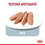 Royal Canin Light Weight Care All Sizes, 12 x 85 g - pate