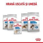 Royal Canin Light Weight Care All Sizes, 12 x 85 g - gama