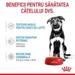 Royal Canin Maxi Puppy hrana umeda caine junior (in sos), 10 x 140 g 