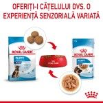Royal Canin Maxi Puppy hrana umeda caine junior (in sos), 10 x 140 g 