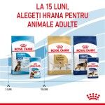 Royal Canin Maxi Puppy hrana umeda caine junior (in sos), 10 x 140 g 