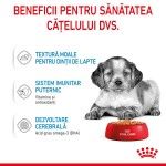 Royal Canin Medium Puppy hrana umeda caine junior (in sos), 10 x 140 g