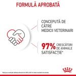 Royal Canin Mini Puppy hrana umeda caine junior (in sos), 85 g