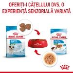 Royal Canin Mini Puppy hrana umeda caine junior (in sos), 85 g