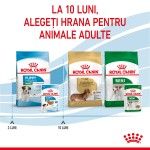 Royal Canin Mini Puppy hrana umeda caine junior (in sos), 85 g