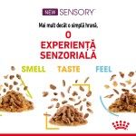 Sensory Feel, hrana umeda pisica (in sos), 12x85 g - experienta