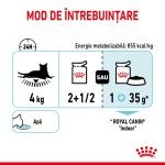 Royal Canin Sensory Feel, hrana umeda pisici, stimularea simtului tactil (in sos), 12 x 85 g