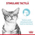 Royal Canin Sensory, hrana umeda pisici, stimularea simturilor (in sos), 12 x 85 g