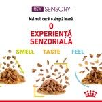 Royal Canin Sensory, hrana umeda pisici, stimularea simturilor (in sos), 12 x 85 g
