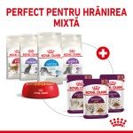 Royal Canin Sensory Smell, hrana umeda pisica (in sos), 12x85 g - hranire