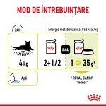 Royal Canin Sensory Smell, hrana umeda pisici, stimularea mirosului (in sos), 12 x 85 g