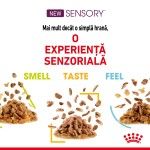 Royal Canin Sensory Taste, hrana umeda pisica (in sos), 12x85 g - experienta