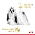 Royal Canin Shih Tzu Adult hrana umeda caine (pate), 12 x 85 g