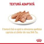 Royal Canin Shih Tzu Adult hrana umeda caine (pate), 12 x 85 g